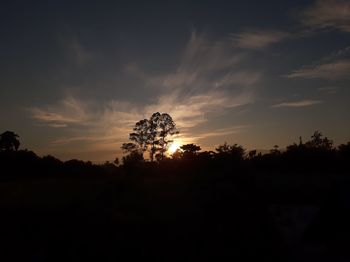 Silhouette trees on field against sky at sunset
