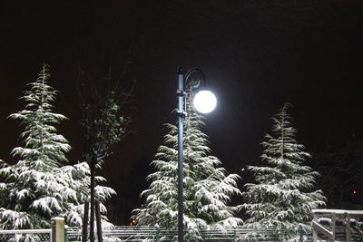 Low angle view of illuminated christmas tree at night