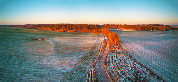 Winter green agricultural field winter crops under snow. colorful trees december sunset aerial scene