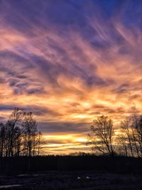 Silhouette bare trees on field against sky at sunset