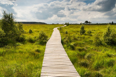 Dirt road along plants on field