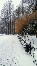 Bare trees on snow covered field against sky