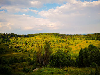 Scenic view of trees on field against sky