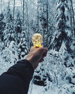 Cropped hand holding illuminated light bulb against snow covered trees