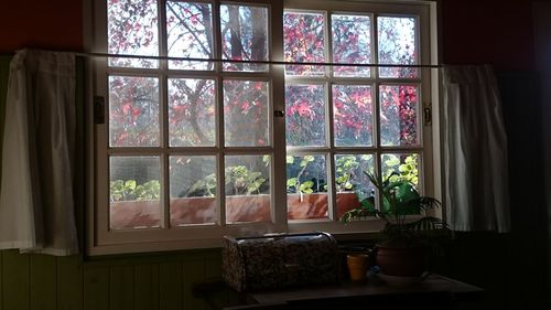 Glass window on table at home