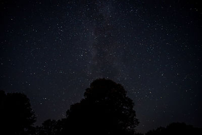 Low angle view of silhouette trees against sky at night