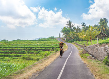 Rear view of man riding motorcycle on road against sky
