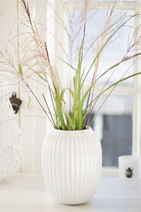 Close-up of white vase on table