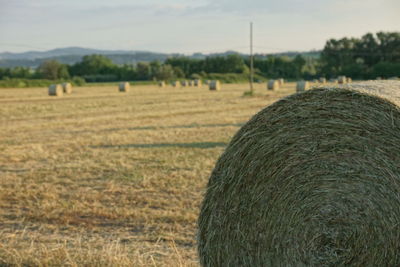 Hay bales on field against sky