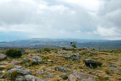 Scenic view of mountains against sky in the aberdare national park, kenya