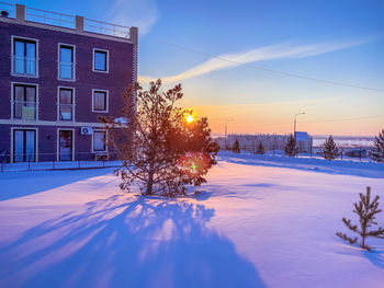 Snow covered trees by buildings against sky during winter