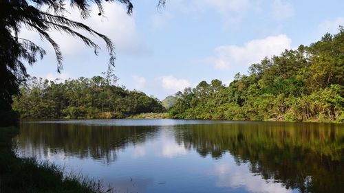 Scenic view of lake by trees against sky