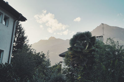 Low angle view of trees and buildings against sky