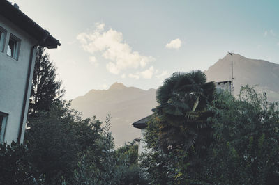 Low angle view of trees and buildings against sky