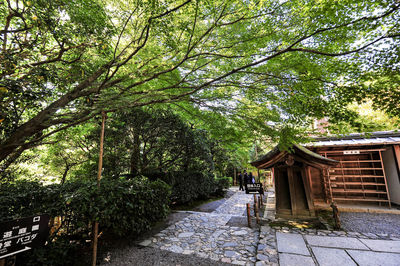 Footpath amidst trees and building in forest