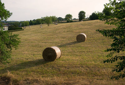 Hay bales on field against sky