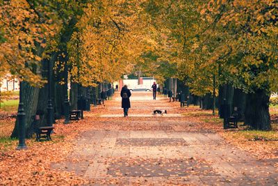 Rear view of people walking on footpath in park during autumn