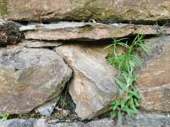 Close-up of rock