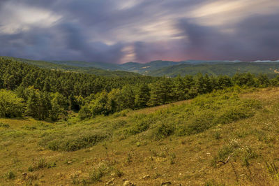 Scenic view of landscape against sky