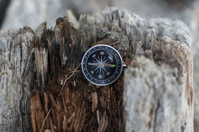 Close-up of navigational compass on tree trunk