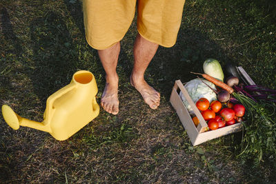 Man standing with watering can and freshly harvest vegetables in wooden box at vegetable garden