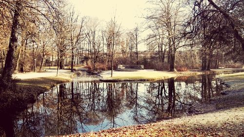 Reflection of trees in lake against sky