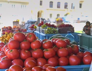 Fresh tomatoes and  fruit and vegetables for sale at local farmers market. fresh organic produce.