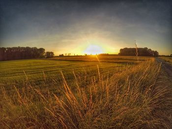 Scenic view of field against sky during sunset