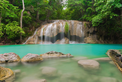 Scenic view of waterfall in forest