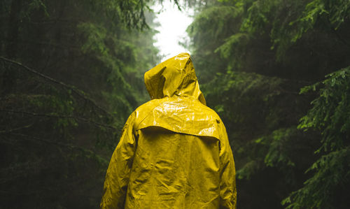 Rear view of man wearing yellow raincoat in forest during rain