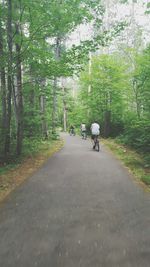 Rear view of man riding motorcycle on road amidst trees