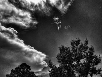 Low angle view of trees against cloudy sky