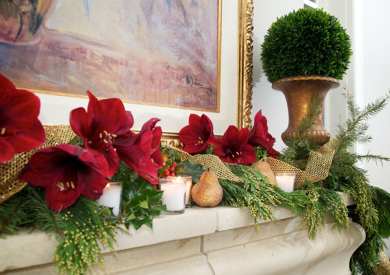 CLOSE-UP OF POTTED PLANT ON RED TABLE