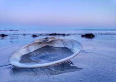 Close-up of ice on beach