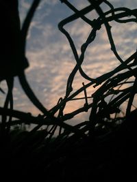 Low angle view of silhouette tree against sky