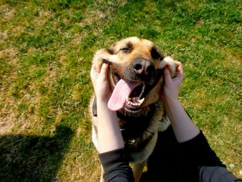 Woman playing with dog on grass in back yard