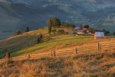 Scenic view of agricultural field