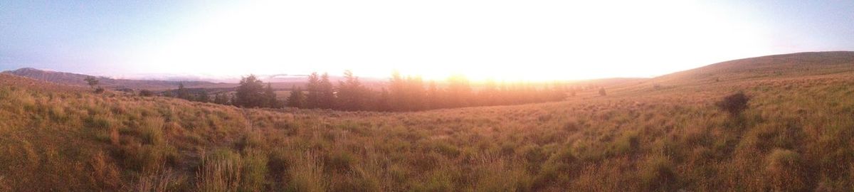 Scenic view of landscape against sky during sunset