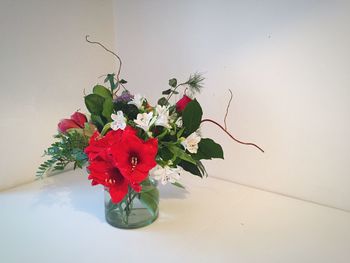 Close-up of red flowers blooming in vase