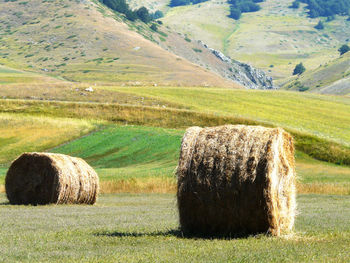 Hay bales on field