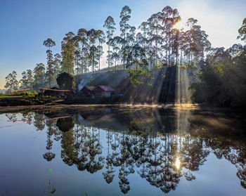 Reflection of trees in lake with ray of light on the morning fog