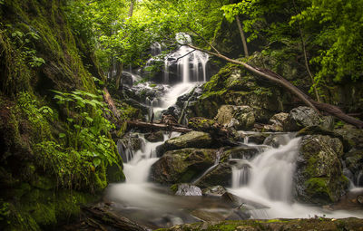 Waterfall in forest