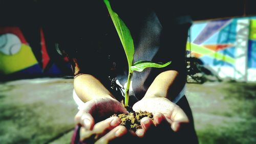 Low section of man holding leaf