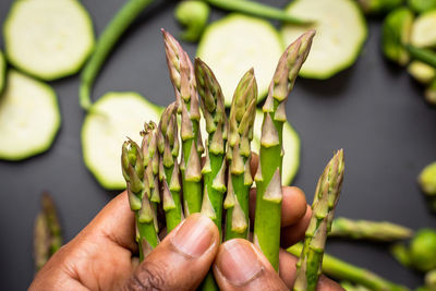 Close-up of hand holding plant