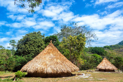 Thatched roof huts by trees at tayrona national natural park