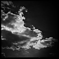 Low angle view of trees against sky