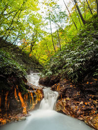 Scenic view of waterfall in forest