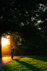 Rear view of man on tree at sunset