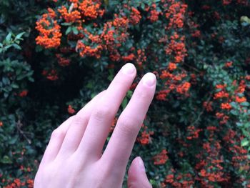 Close-up of hand on flower against blurred background