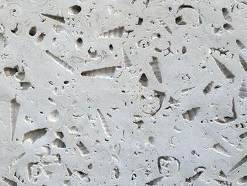 Close-up of water drops on glass